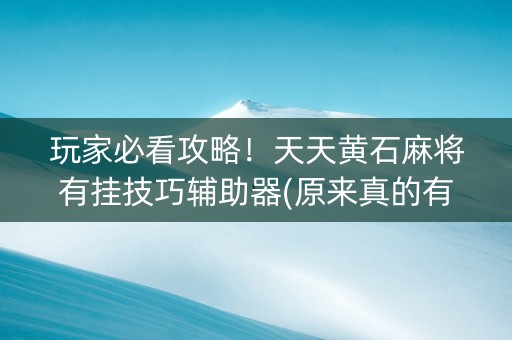 玩家必看攻略！天天黄石麻将有挂技巧辅助器(原来真的有挂)