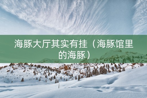 海豚大厅其实有挂（海豚馆里的海豚）