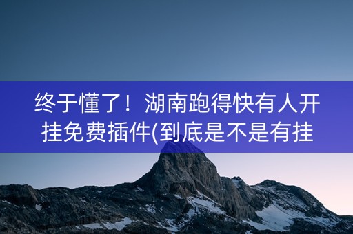 终于懂了！湖南跑得快有人开挂免费插件(到底是不是有挂)