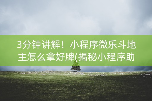 3分钟讲解！小程序微乐斗地主怎么拿好牌(揭秘小程序助攻神器)