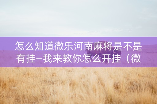 怎么知道微乐河南麻将是不是有挂—我来教你怎么开挂（微乐河南麻将怎样免费开挂）