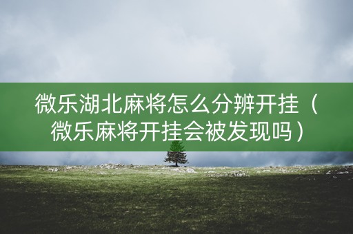 微乐湖北麻将怎么分辨开挂（微乐麻将开挂会被发现吗）