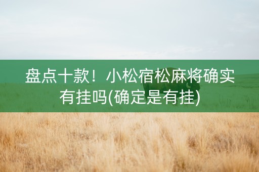 盘点十款！小松宿松麻将确实有挂吗(确定是有挂)