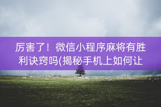 厉害了！微信小程序麻将有胜利诀窍吗(揭秘手机上如何让牌变好)
