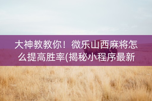 大神教教你！微乐山西麻将怎么提高胜率(揭秘小程序最新神器下载)