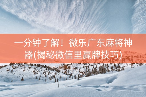 一分钟了解！微乐广东麻将神器(揭秘微信里赢牌技巧)