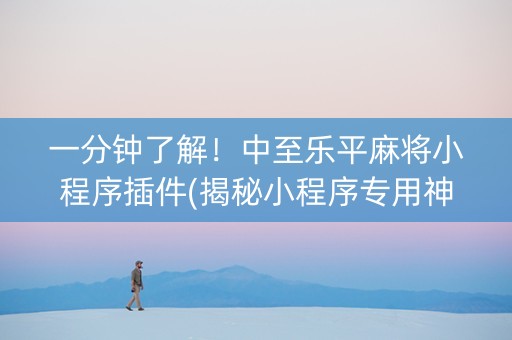 一分钟了解！中至乐平麻将小程序插件(揭秘小程序专用神器)
