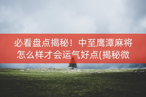 必看盘点揭秘！中至鹰潭麻将怎么样才会运气好点(揭秘微信里怎么容易赢)