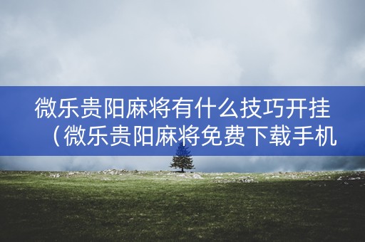 微乐贵阳麻将有什么技巧开挂（微乐贵阳麻将免费下载手机版）