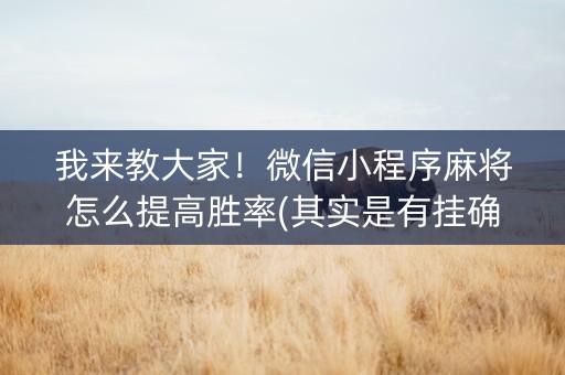 我来教大家！微信小程序麻将怎么提高胜率(其实是有挂确实有挂)