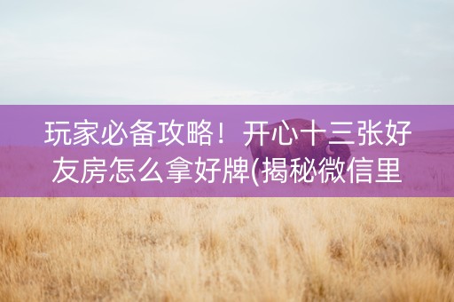 玩家必备攻略！开心十三张好友房怎么拿好牌(揭秘微信里最新神器下载)