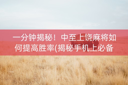 一分钟揭秘！中至上饶麻将如何提高胜率(揭秘手机上必备神器)