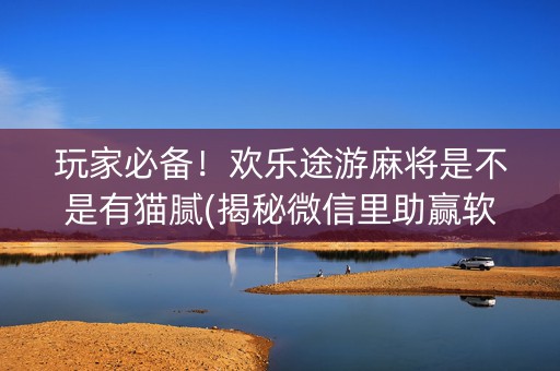 玩家必备！欢乐途游麻将是不是有猫腻(揭秘微信里助赢软件)