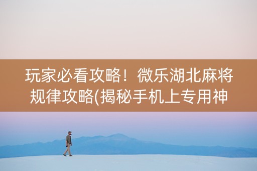 玩家必看攻略！微乐湖北麻将规律攻略(揭秘手机上专用神器)