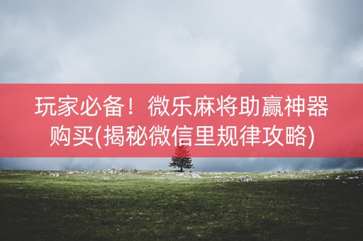 玩家必备！微乐麻将助赢神器购买(揭秘微信里规律攻略)