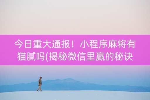 今日重大通报！小程序麻将有猫腻吗(揭秘微信里赢的秘诀)