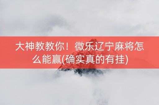 大神教教你！微乐辽宁麻将怎么能赢(确实真的有挂)