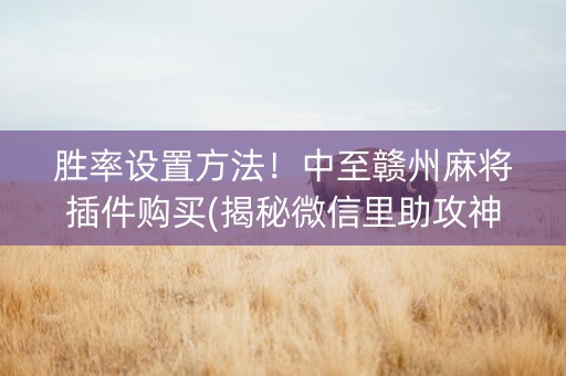 胜率设置方法！中至赣州麻将插件购买(揭秘微信里助攻神器)
