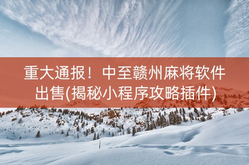 重大通报！中至赣州麻将软件出售(揭秘小程序攻略插件)