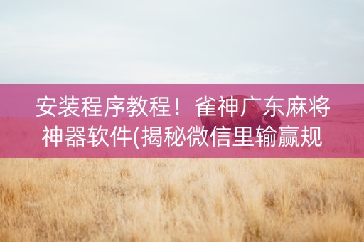 安装程序教程！雀神广东麻将神器软件(揭秘微信里输赢规律)