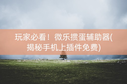 玩家必看！微乐掼蛋辅助器(揭秘手机上插件免费)