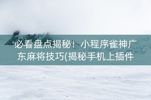 必看盘点揭秘！小程序雀神广东麻将技巧(揭秘手机上插件免费)