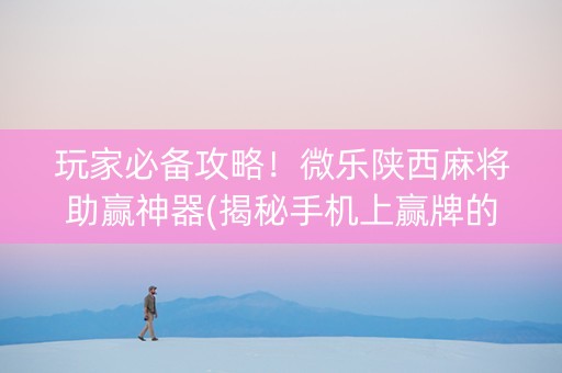 玩家必备攻略！微乐陕西麻将助赢神器(揭秘手机上赢牌的技巧)