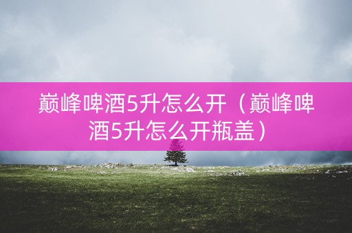 巅峰啤酒5升怎么开（巅峰啤酒5升怎么开瓶盖）