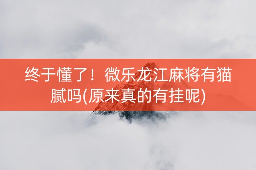 终于懂了！微乐龙江麻将有猫腻吗(原来真的有挂呢)