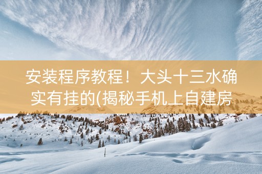 安装程序教程！大头十三水确实有挂的(揭秘手机上自建房怎么赢)