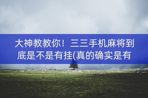 大神教教你！三三手机麻将到底是不是有挂(真的确实是有挂)
