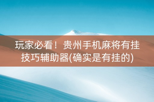 玩家必看！贵州手机麻将有挂技巧辅助器(确实是有挂的)