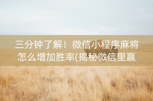 三分钟了解！微信小程序麻将怎么增加胜率(揭秘微信里赢的秘诀)