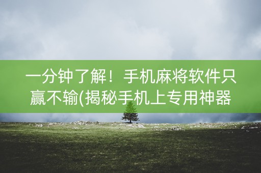 一分钟了解！手机麻将软件只赢不输(揭秘手机上专用神器)