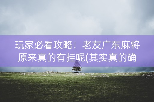 玩家必看攻略！老友广东麻将原来真的有挂呢(其实真的确实有挂)