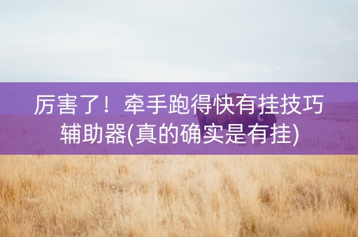 厉害了！牵手跑得快有挂技巧辅助器(真的确实是有挂)