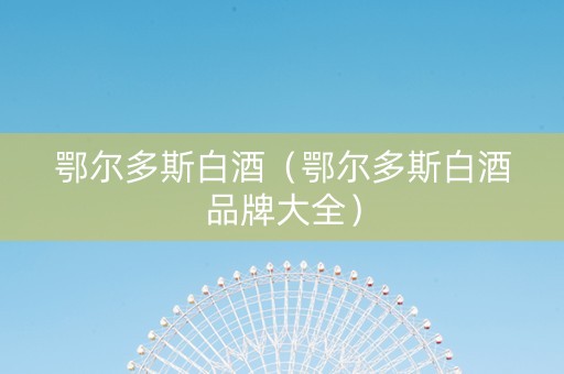 鄂尔多斯白酒（鄂尔多斯白酒品牌大全）