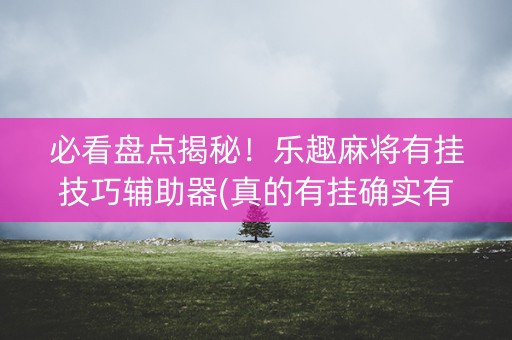 必看盘点揭秘！乐趣麻将有挂技巧辅助器(真的有挂确实有挂)