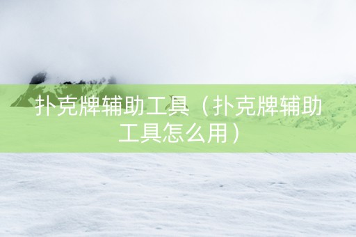 扑克牌辅助工具（扑克牌辅助工具怎么用）