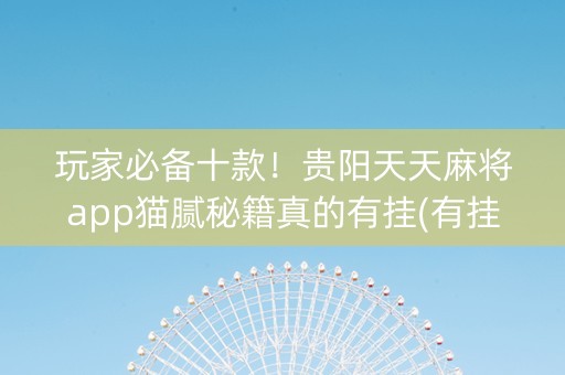 玩家必备十款！贵阳天天麻将app猫腻秘籍真的有挂(有挂技巧辅助器)