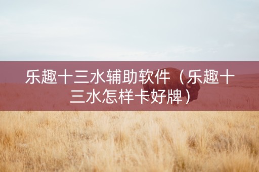 乐趣十三水辅助软件（乐趣十三水怎样卡好牌）