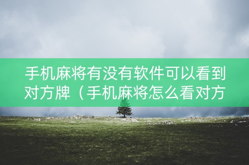 手机麻将有没有软件可以看到对方牌（手机麻将怎么看对方的距离）