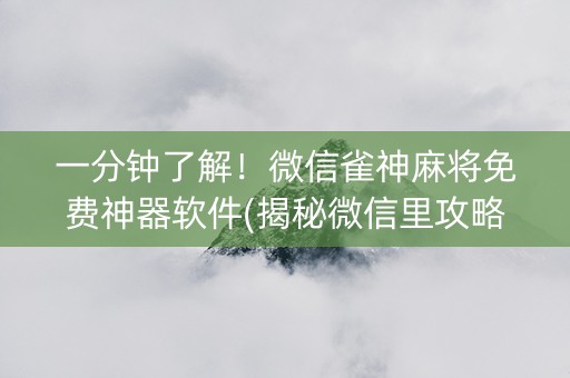 一分钟了解！微信雀神麻将免费神器软件(揭秘微信里攻略插件)