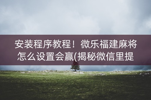 安装程序教程！微乐福建麻将怎么设置会赢(揭秘微信里提高赢的概率)