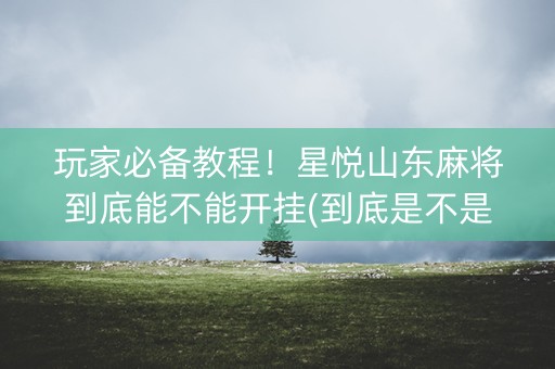 玩家必备教程！星悦山东麻将到底能不能开挂(到底是不是有挂)