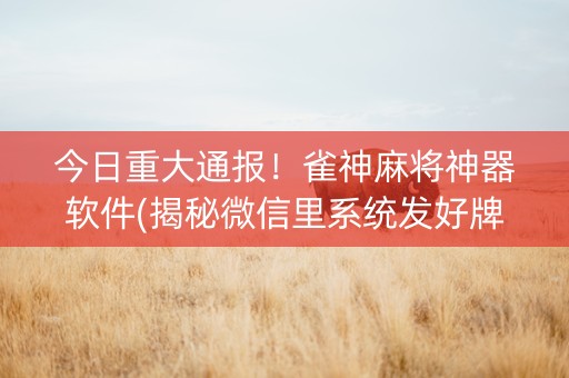 今日重大通报！雀神麻将神器软件(揭秘微信里系统发好牌)