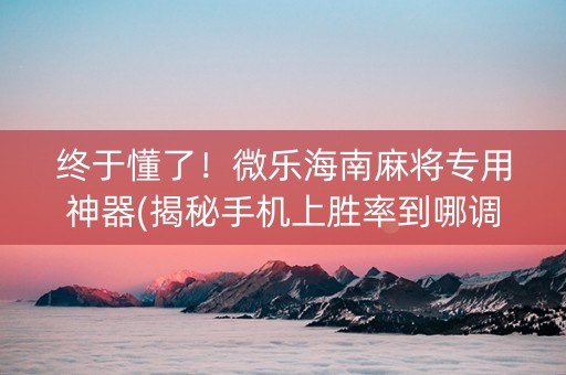 终于懂了！微乐海南麻将专用神器(揭秘手机上胜率到哪调)