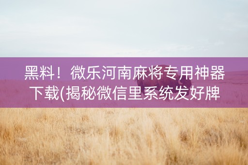 黑料！微乐河南麻将专用神器下载(揭秘微信里系统发好牌)