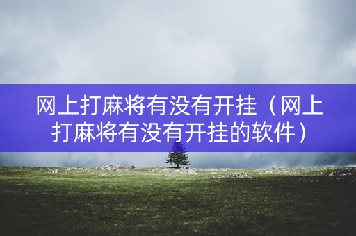 网上打麻将有没有开挂（网上打麻将有没有开挂的软件）