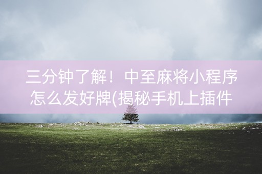 三分钟了解！中至麻将小程序怎么发好牌(揭秘手机上插件免费)